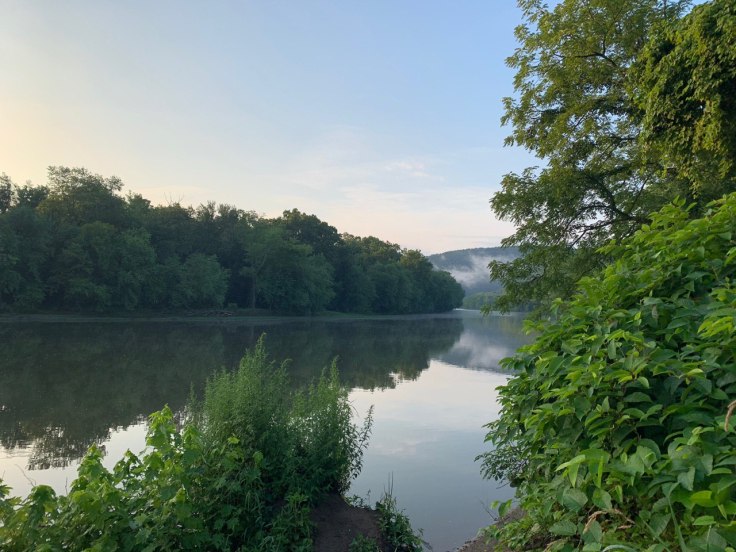 5f3f3288-c889-432e-813d-08d9b6039a92