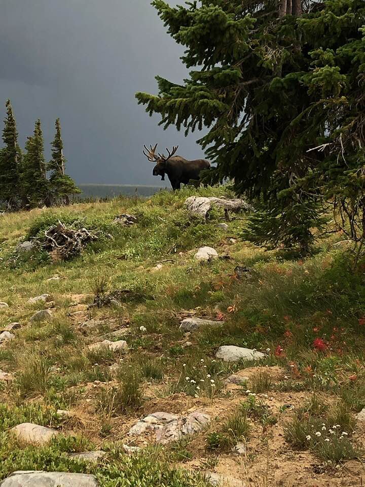 69691870_10216950932938977_663944868141203456_n