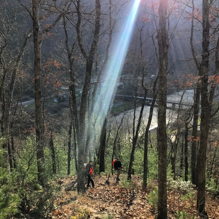 E64CFF11-986A-494B-ADDC-718C17AFDA5A