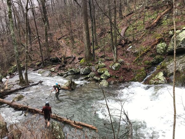 SNP - Crossing - Cassie