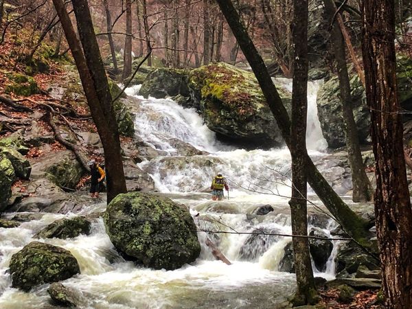 SNP First Crossing - Jen