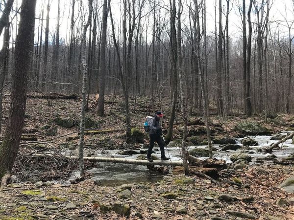 SNP - One Pole - Sharon