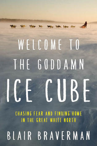book cover of welcome to the goddamn ice cube