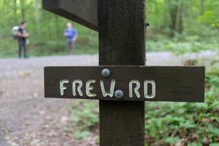 20200619_111423_IMG_0497