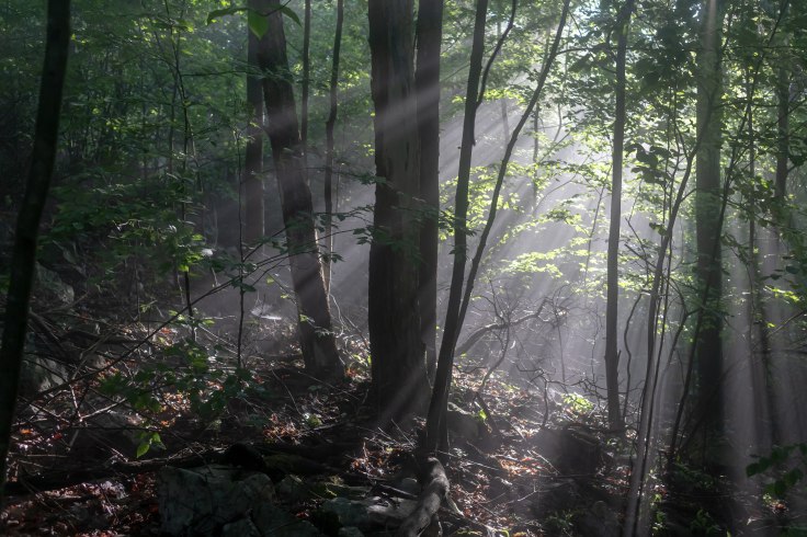 20200620_112748_IMG_0578