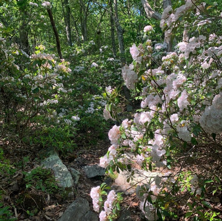 47024615-57E0-4831-97D6-ED7A978A4A82