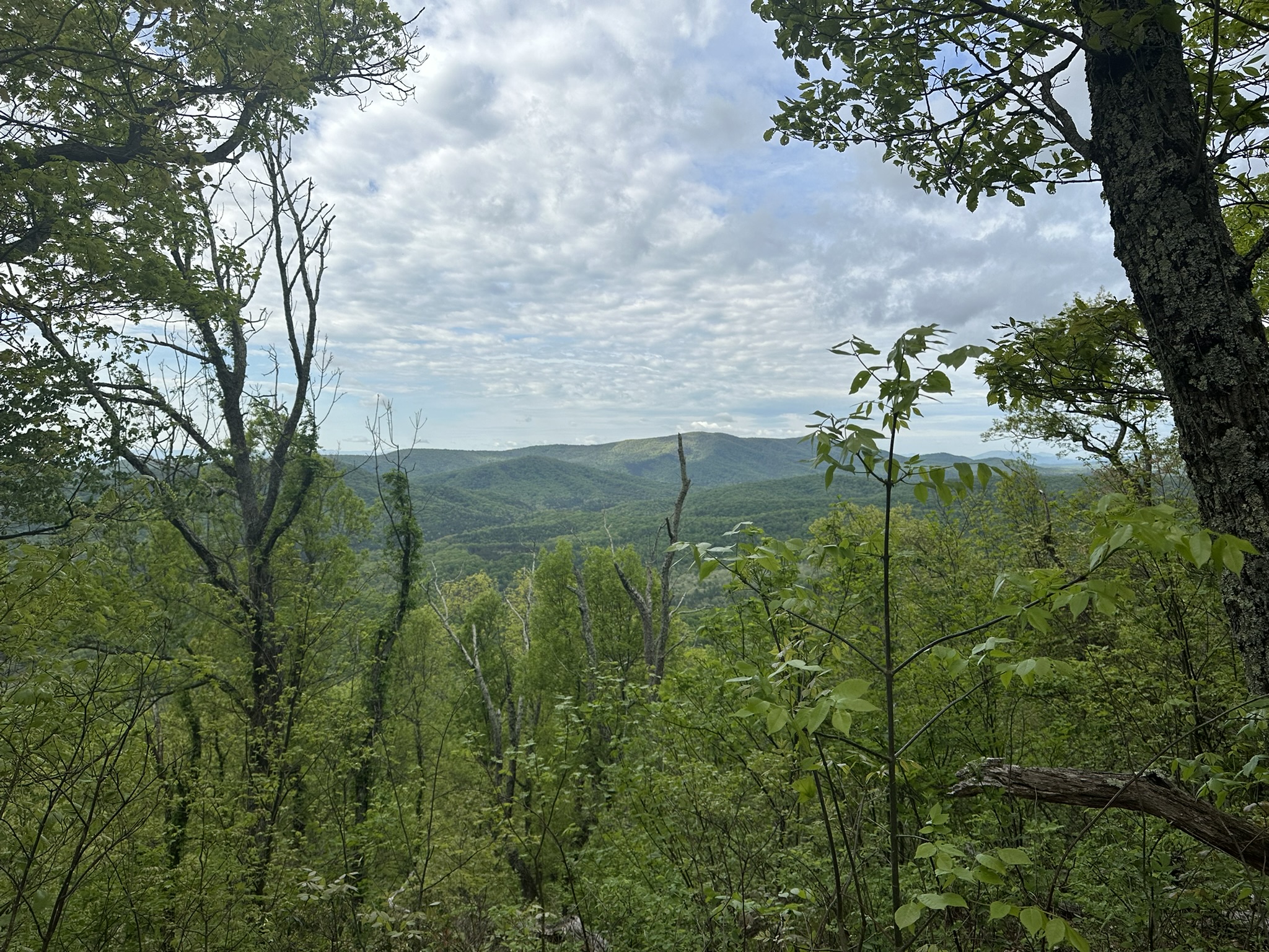 Trip Report: Wild “Wet” Oak Trail (28 miles, May 2-4, 2025) – DC