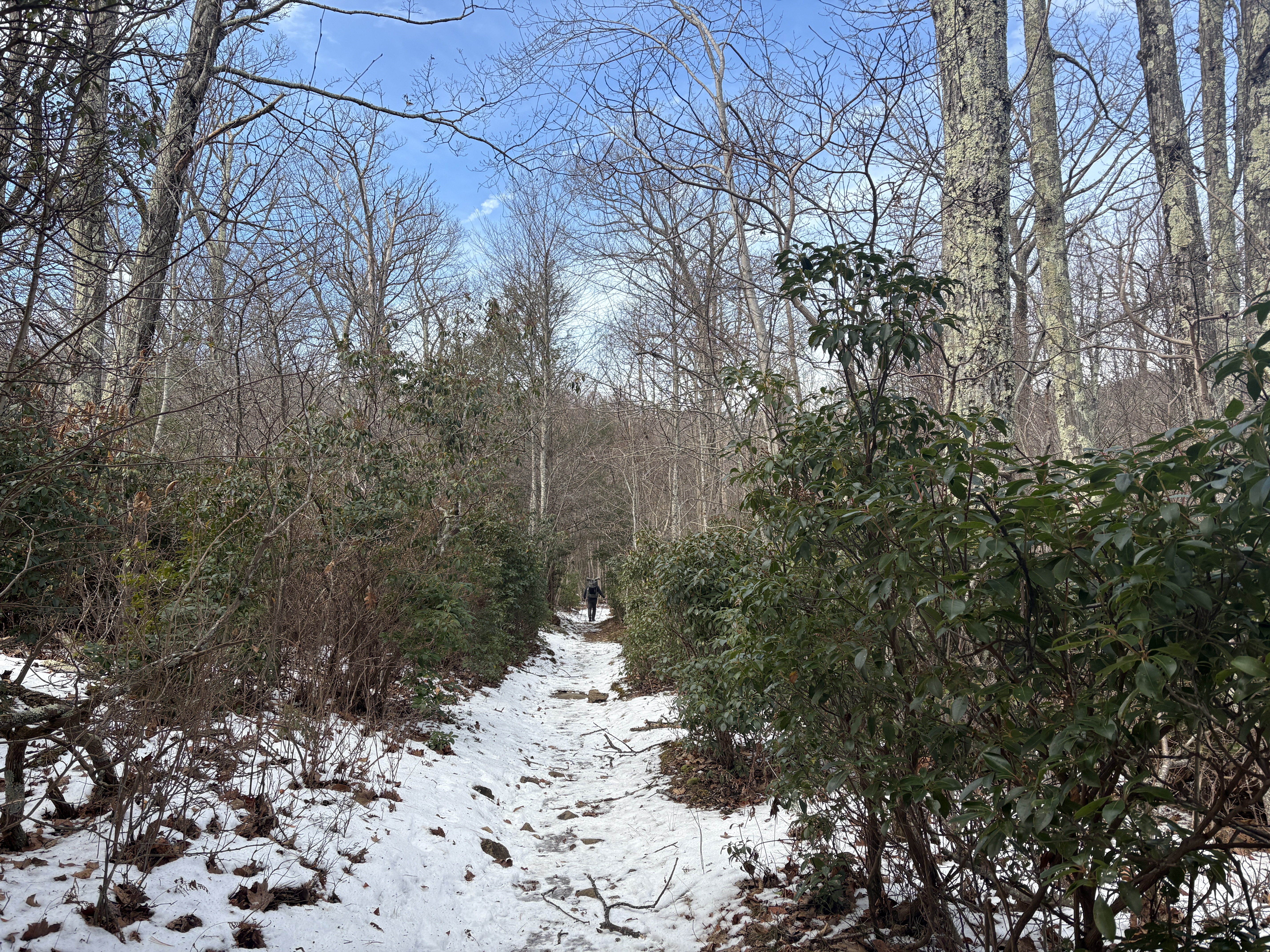 SNP Hazel Country (12/12/2025) – DC UL Backpacking