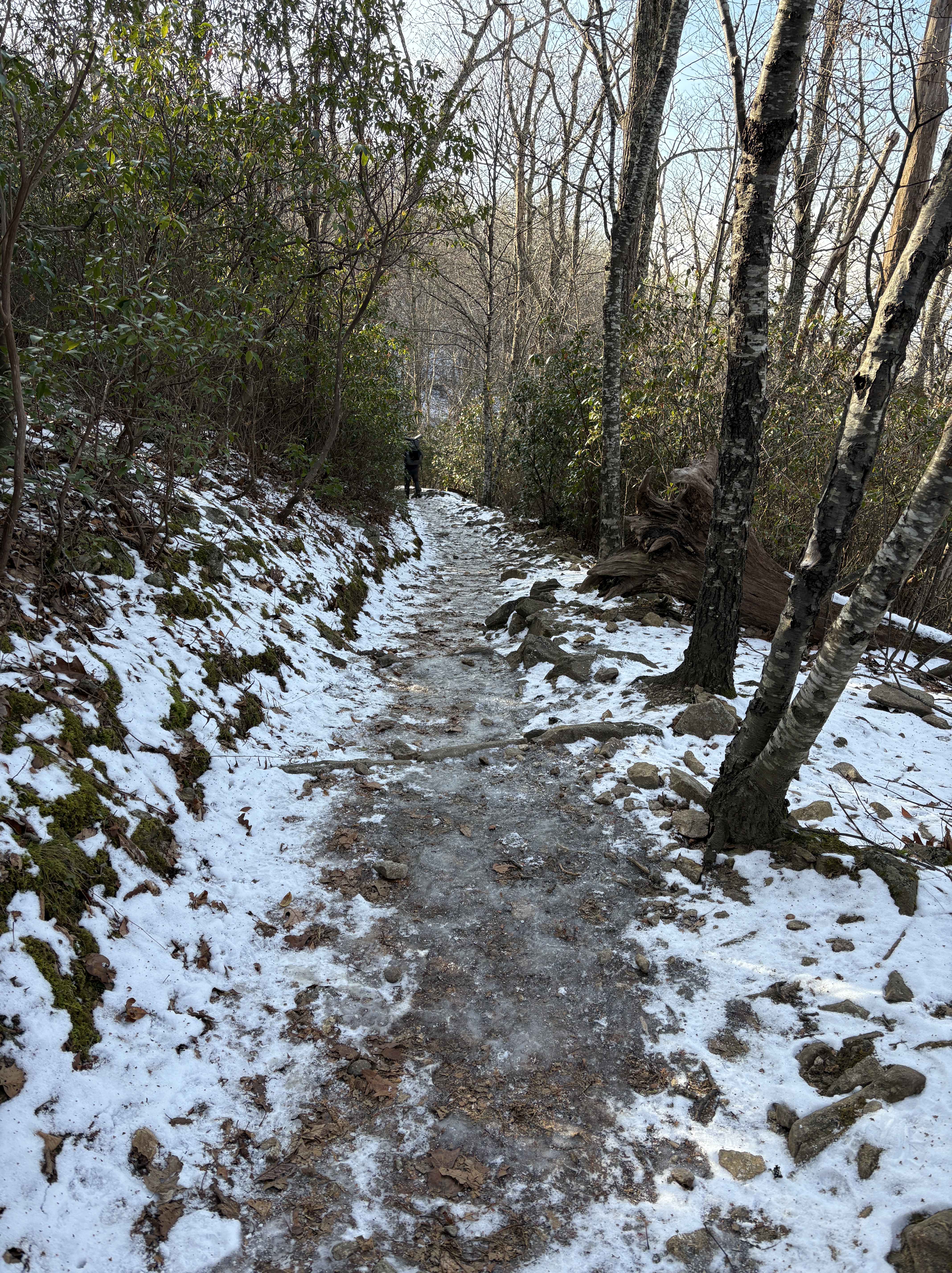 SNP Hazel Country (12/12/2025) – DC UL Backpacking