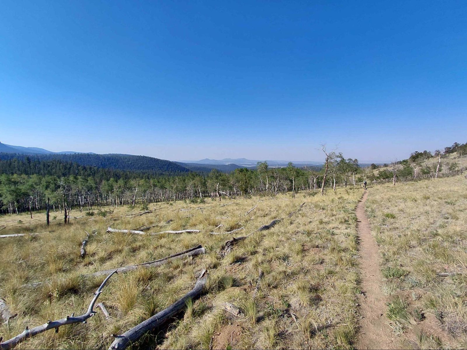 Colorado Trail trip photo